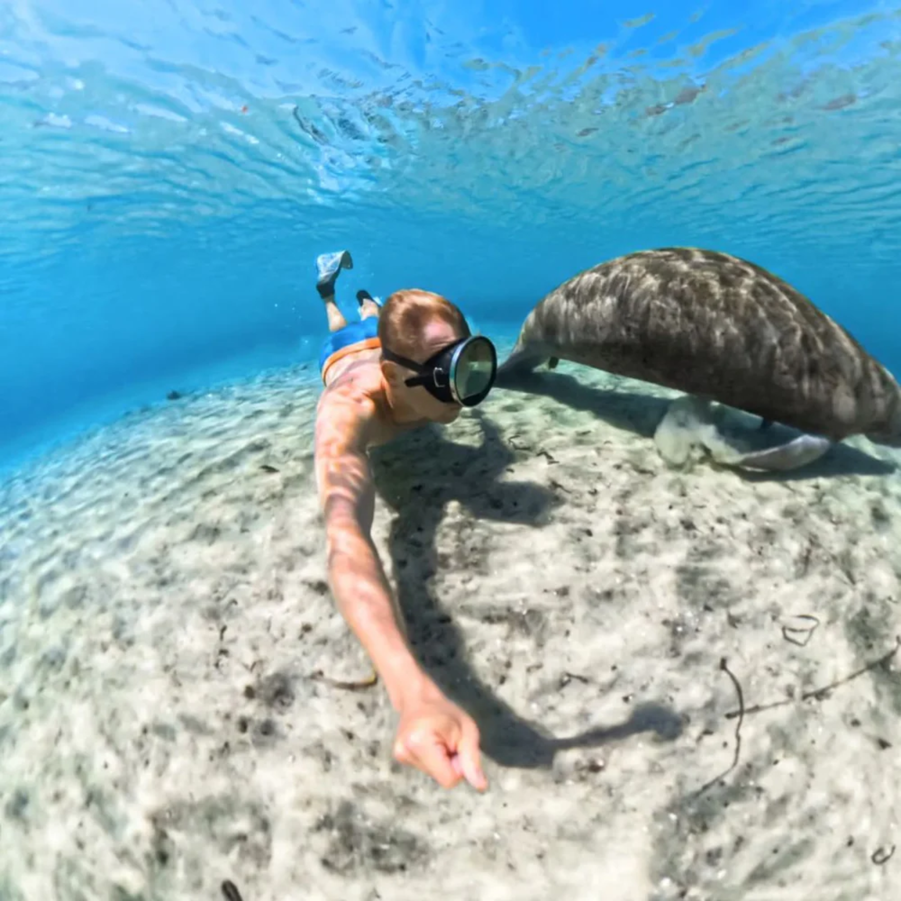 Funda de buceo invisible para insta360 X5