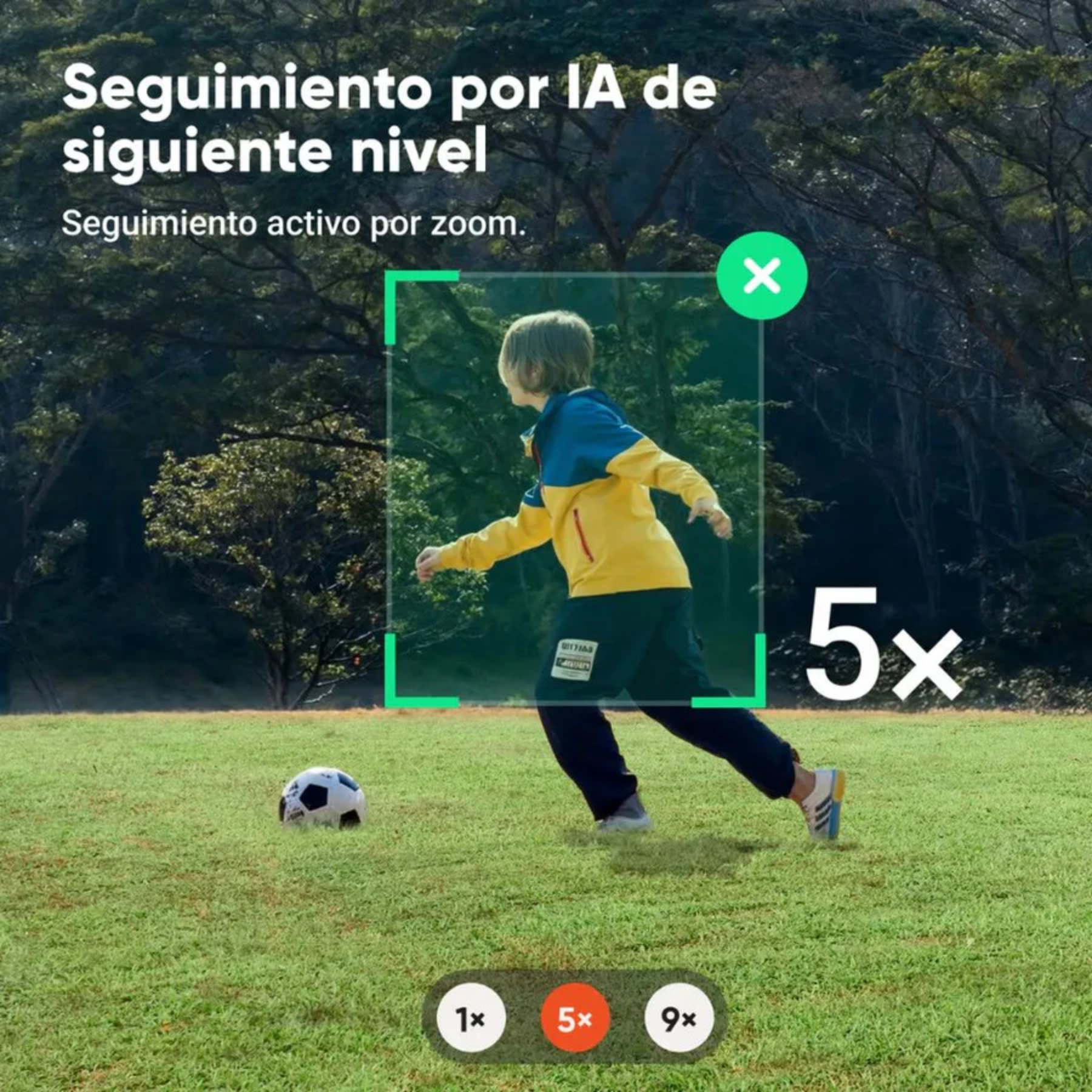 Insta360 Flow 2 Pro Gris